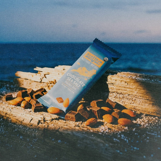 Chocolate Sea Salt BOX - 12 Bar Box - Bars