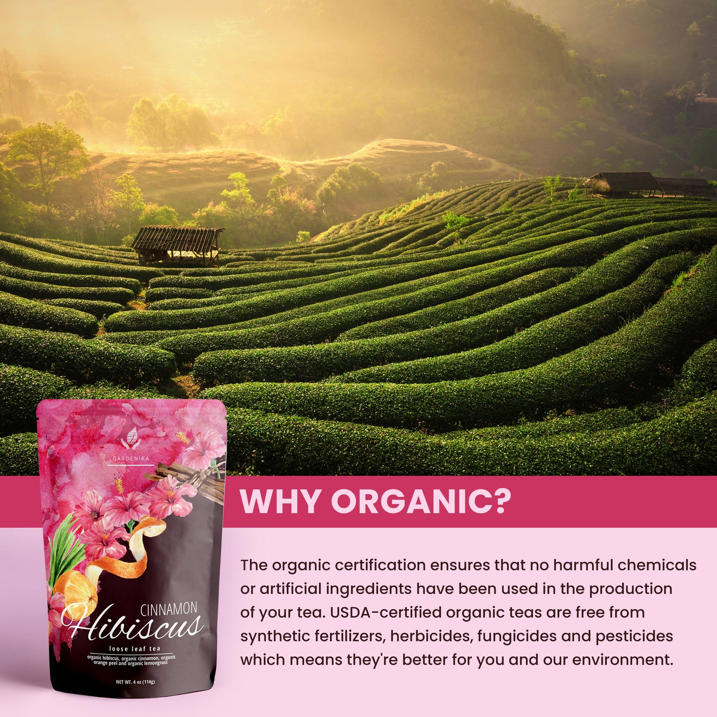 Cinnamon Hibiscus Loose Tea, Heart Health & Antioxidant Rich - /w Hibiscus & Cinnamon - Herbal & Caffeine Free - Organic & Kosher