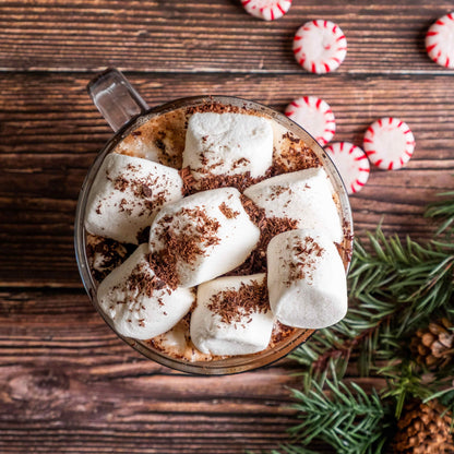 Bare Life Dairy Free Peppermint Hot Cocoa Mix | 10 Serving Stand Up Pouch | Gluten Free, Vegan, Organic