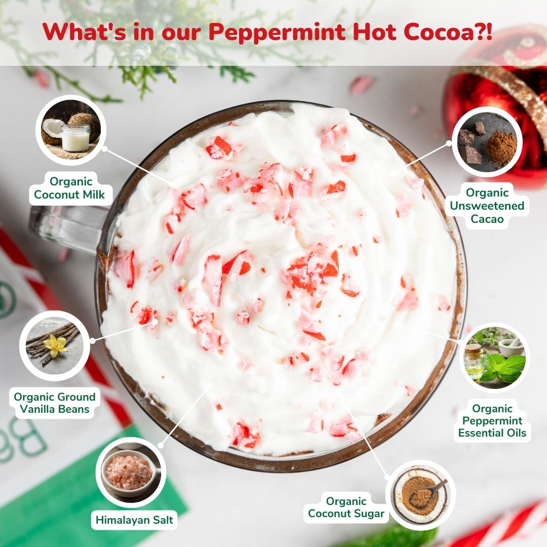 Bare Life Dairy Free Peppermint Hot Cocoa Mix | 10 Serving Stand Up Pouch | Gluten Free, Vegan, Organic