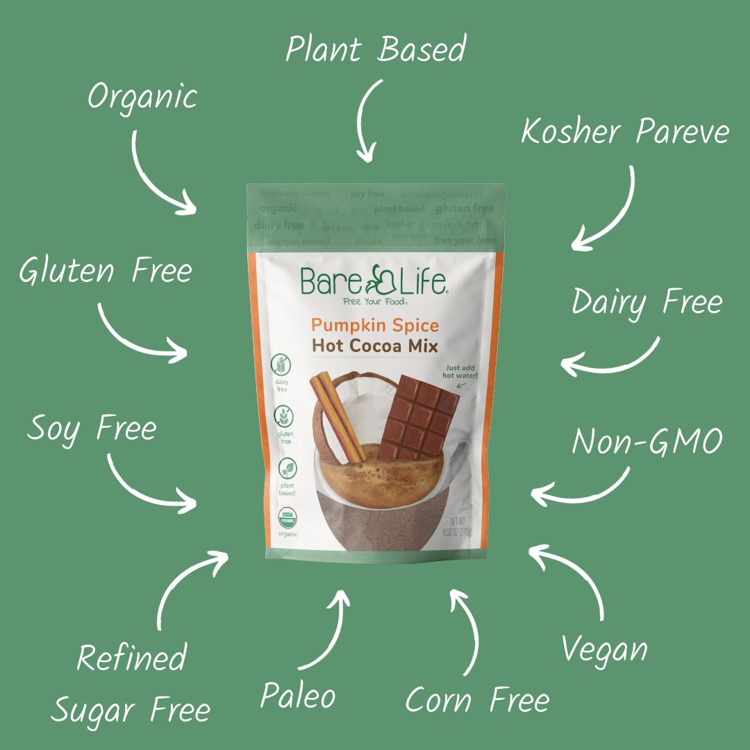 Bare Life Dairy Free Pumpkin Spice Hot Cocoa Mix | 10 Serving Stand Up Pouch | Gluten Free, Vegan, Organic