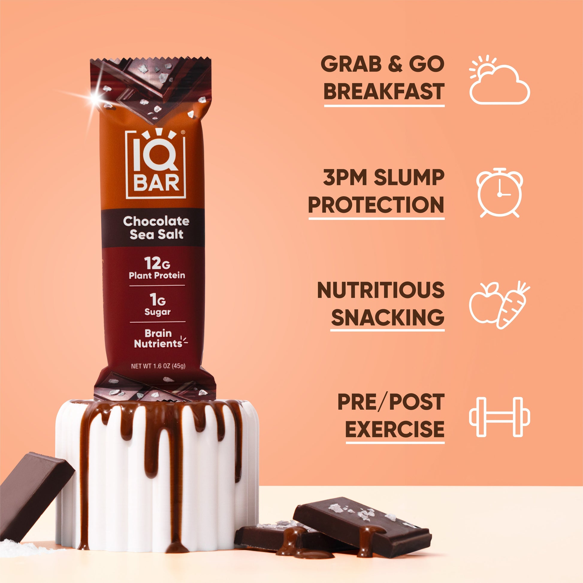 Chocolate Sea Salt (12 Bars) - 12 Bars - Bars