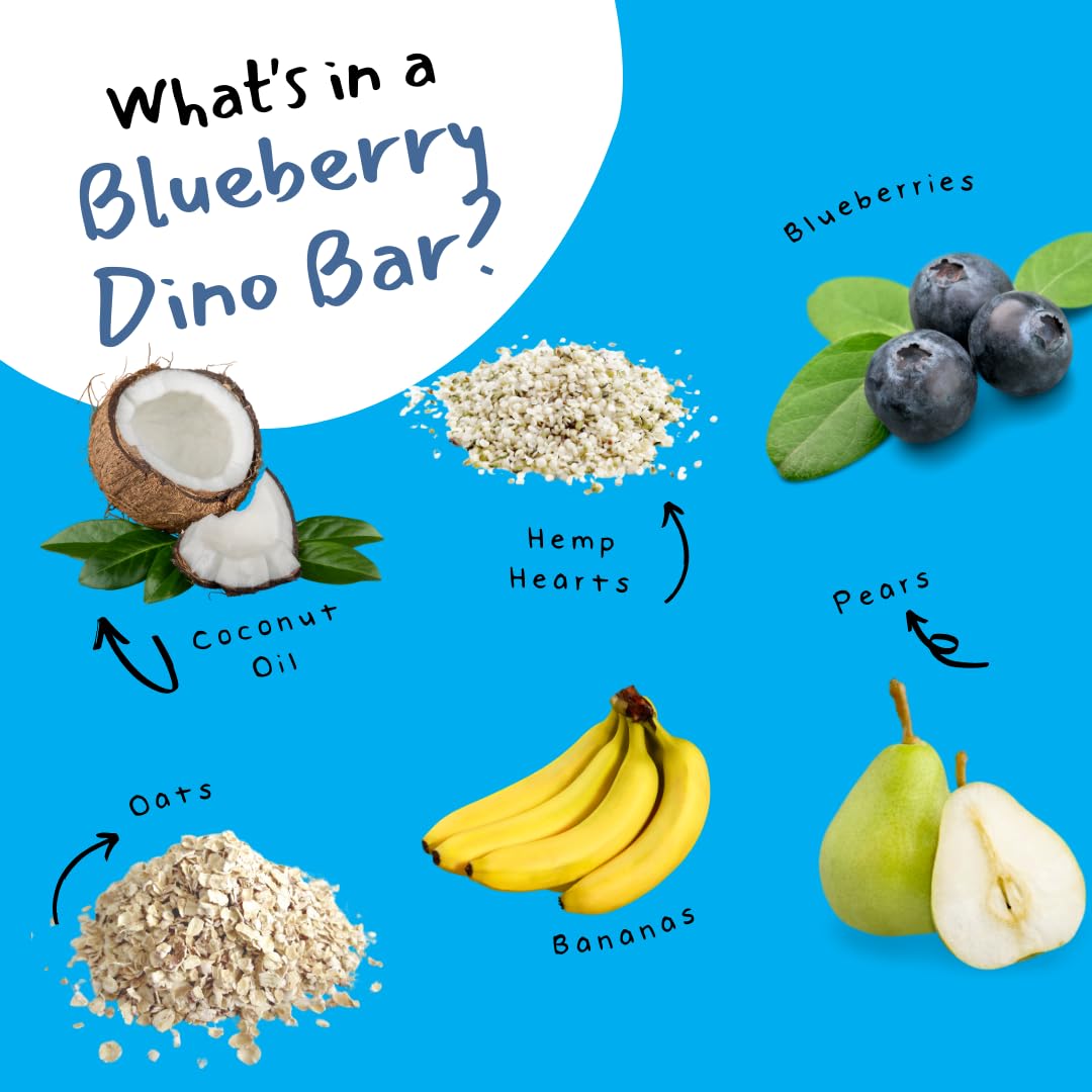 Dino Bar Blueberry Bar - (10 Pack) - 10 Bars - Fruit Bar