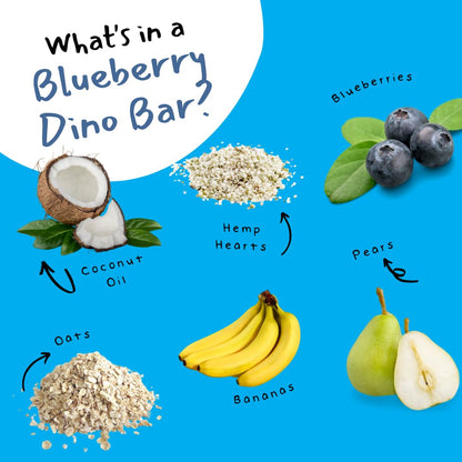 Dino Bar Blueberry Bar - (10 Pack) - 10 Bars - Fruit Bar