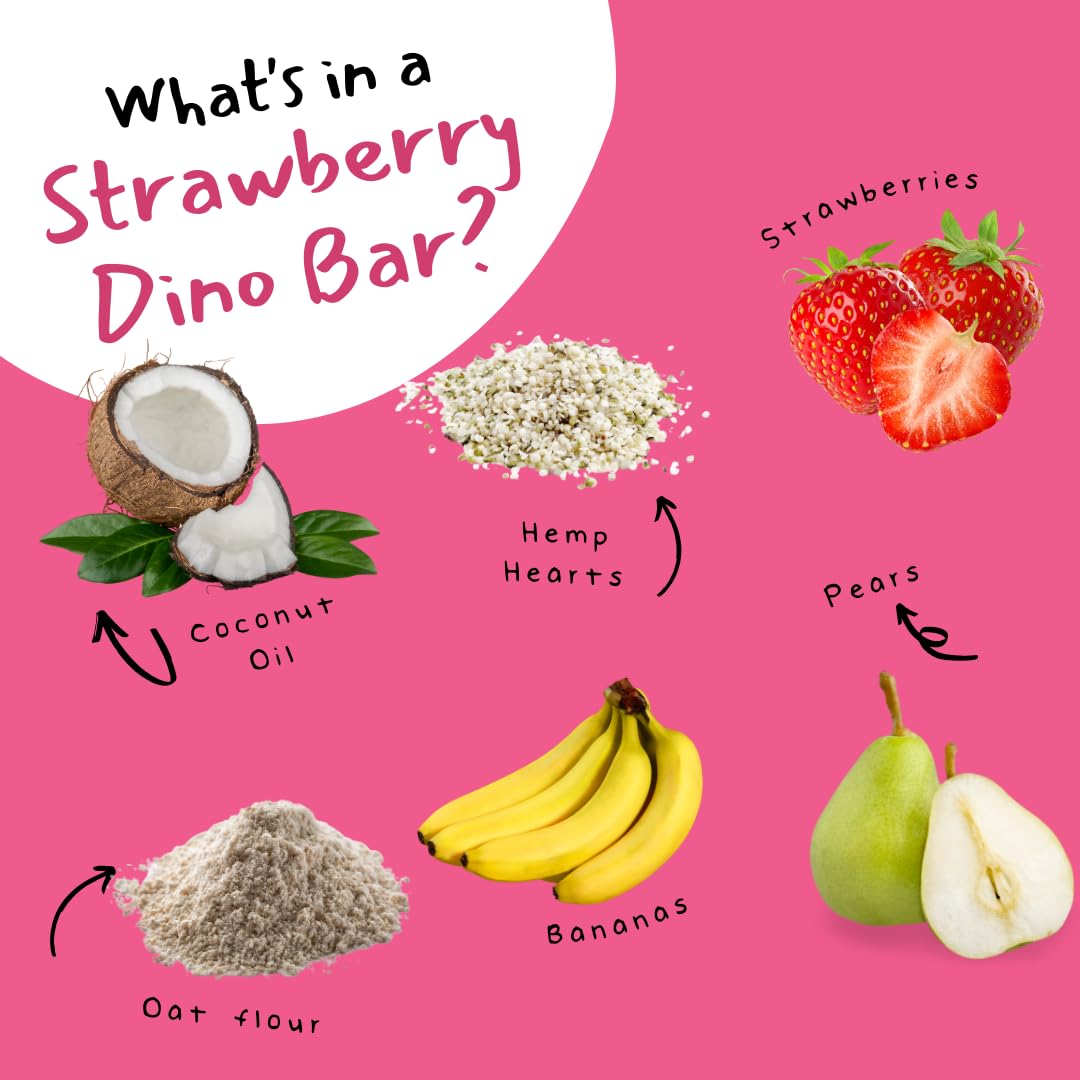 Dino Bar Strawberry Bar - (10 Pack) - 10 Bars - Fruit Bar