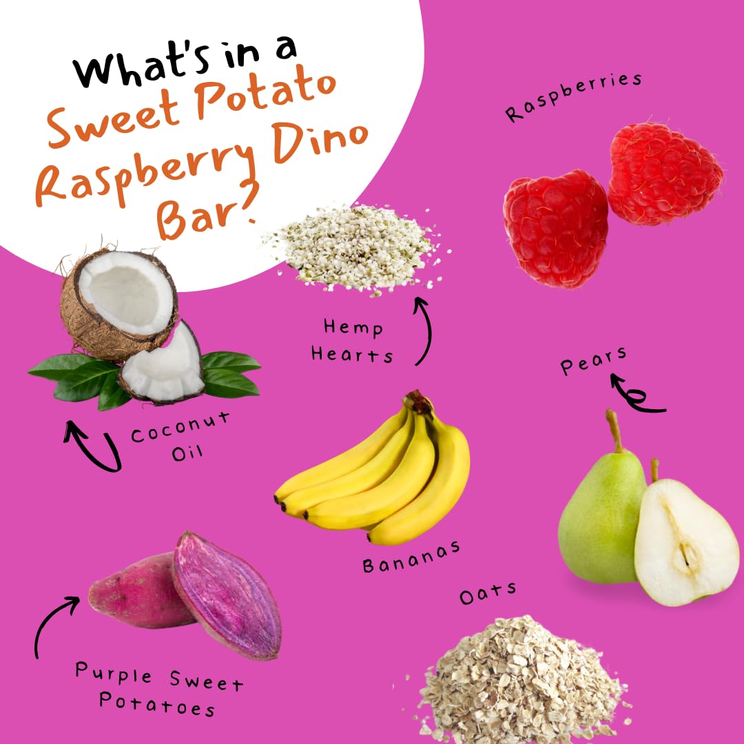 Dino Bar Sweet Potato Raspberry Bar - (10 pack) - 10 Bars - Fruit Bar