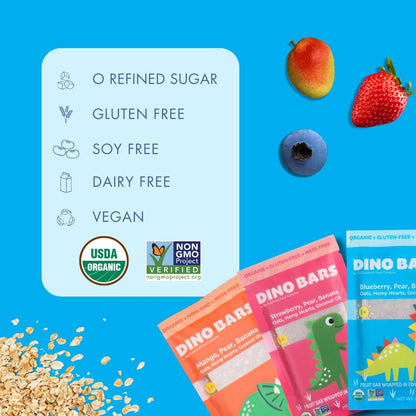 Dino Bar Sweet Potato Raspberry Bar - (10 pack) - 10 Bars - Fruit Bar