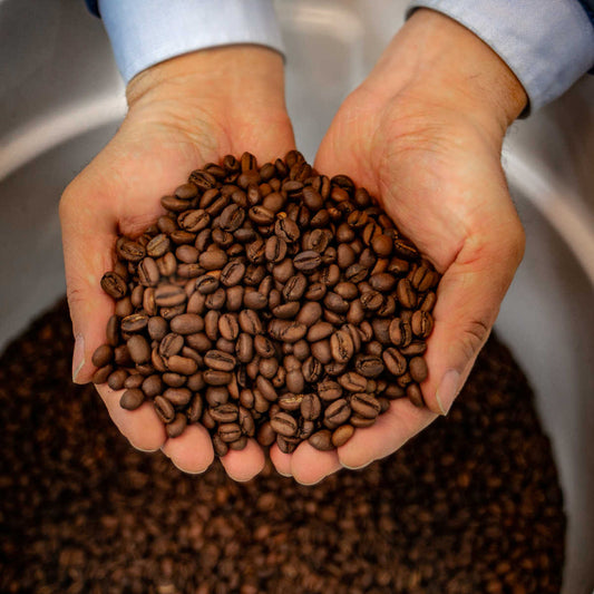 Enzyme Fermented Coffee 16oz (454g) - coffee