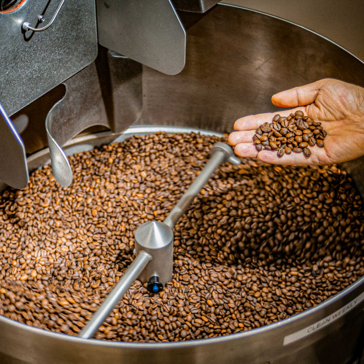 Enzyme Fermented Coffee 7oz (200g) - Coffee