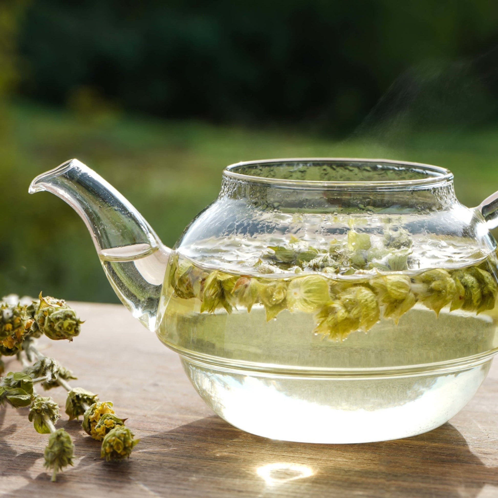 Greek Mountain Tea (Mount Olympus) - ORGANIC 1.1 oz (20 cups) - Tea & Infusions