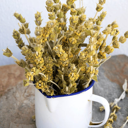 Greek Mountain Tea (Mount Olympus) - ORGANIC 1.1 oz (20 cups) - Tea & Infusions