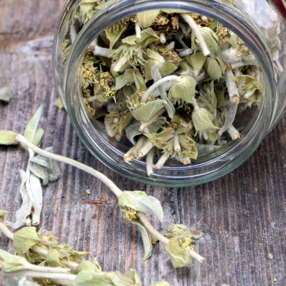 Greek Mountain Tea (Mount Olympus) - ORGANIC 1.1 oz (20 cups) - Tea & Infusions