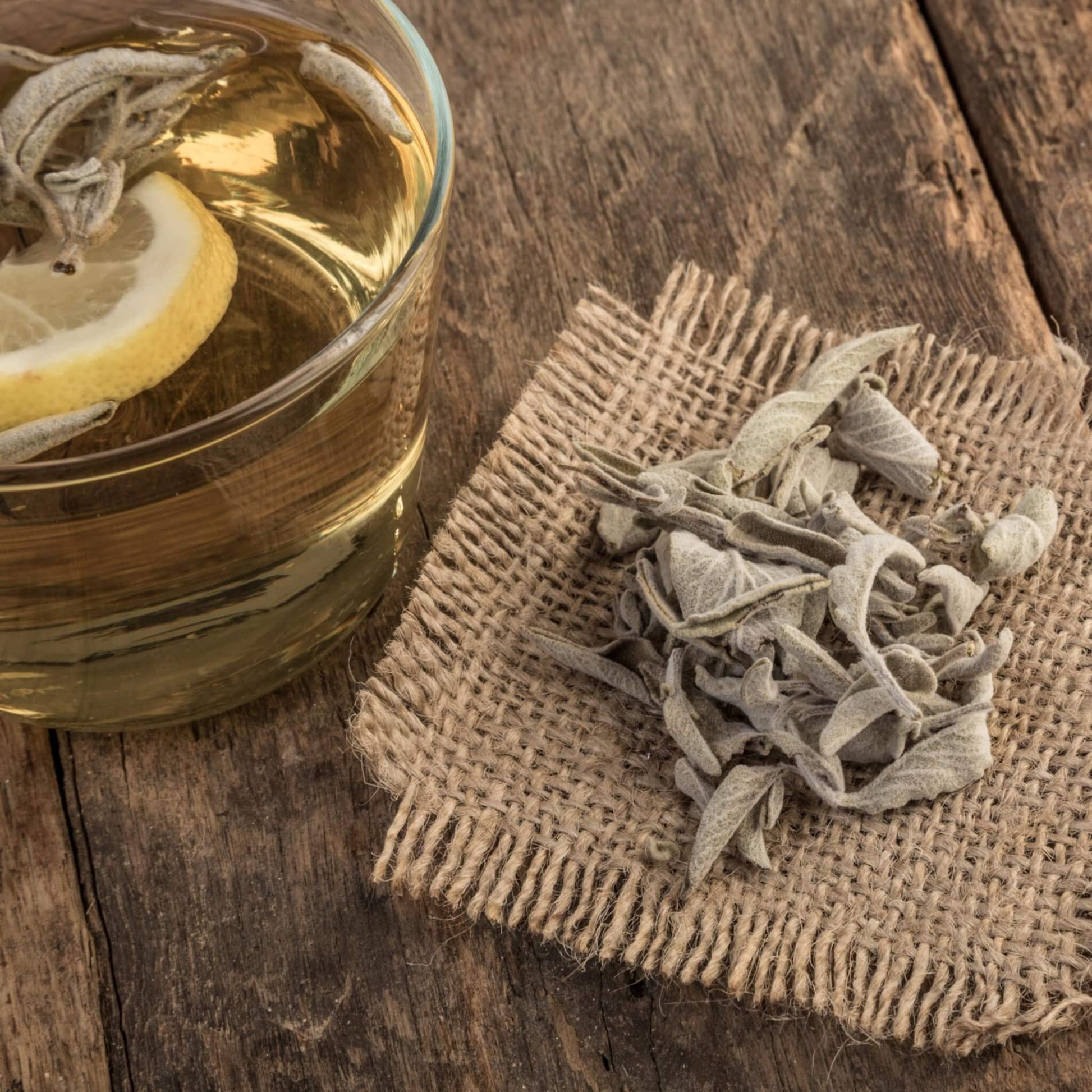 Greek Sage (Ikaria Blue Zone) - ORGANIC 0.9 oz (18 cups) - Tea & Infusions