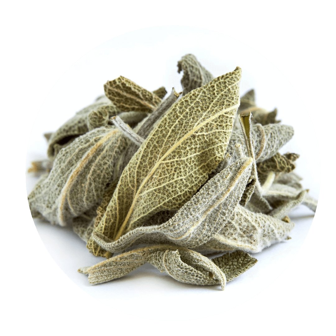 Greek Sage (Ikaria Blue Zone) - ORGANIC 0.9 oz (18 cups) - Tea & Infusions