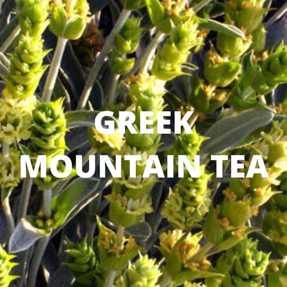Immune Tea - ORGANIC 0.9 oz (18 cups) - Herbal Tea Blend