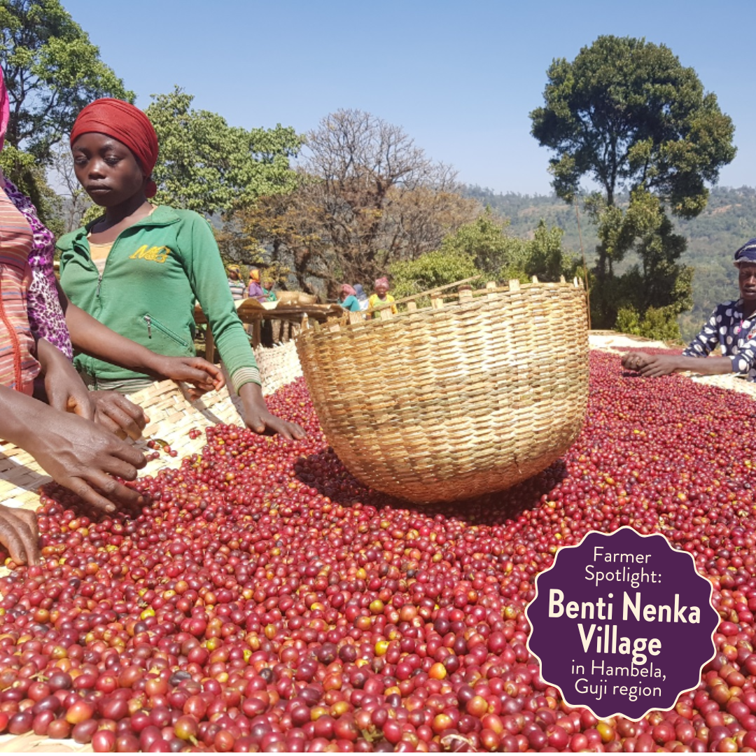 Lil’ Red | Decaf Single Origin | Ethiopia Natural | Swiss Water Process Decaffeinated