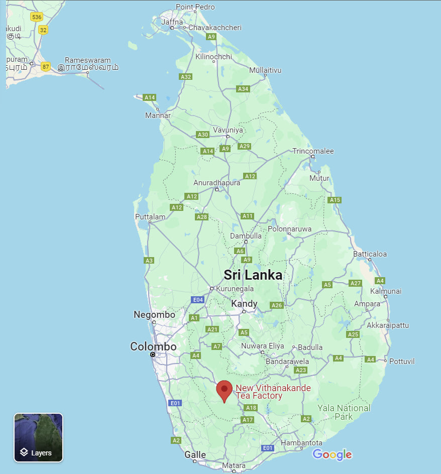 Golden Reserve Black Tea | Plant-based Tea Bags