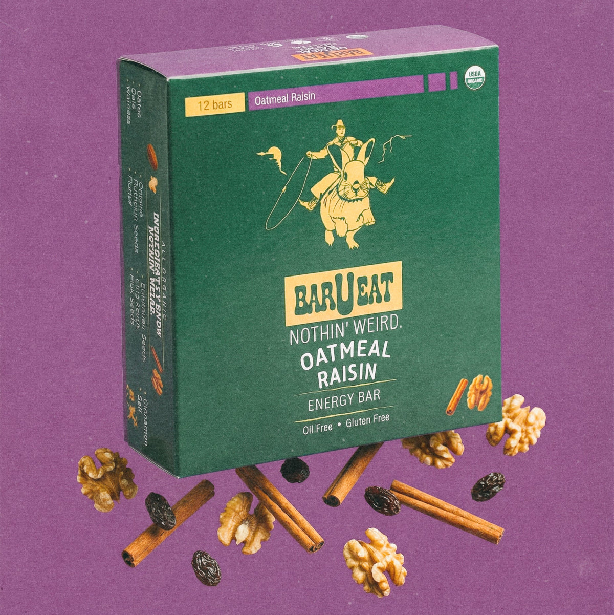 Oatmeal Raisin BOX - 12 Bar Box - Bars