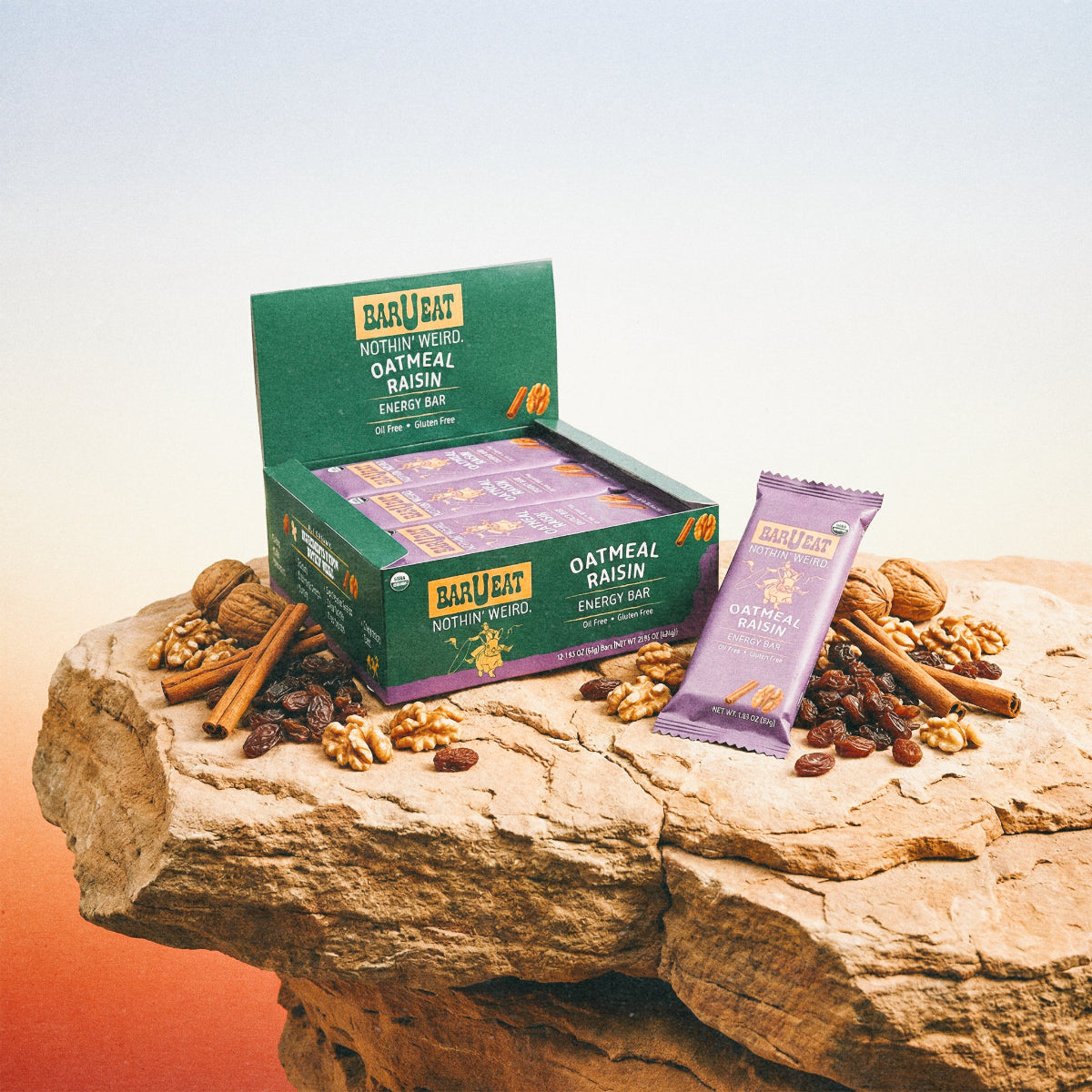Oatmeal Raisin BOX - 12 Bar Box - Bars