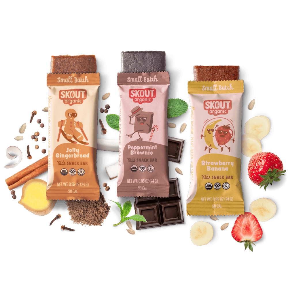Skout Organic Small Batch Kids Bar Bundle - 18 bars - 18 Pack - Organic Kids Bars
