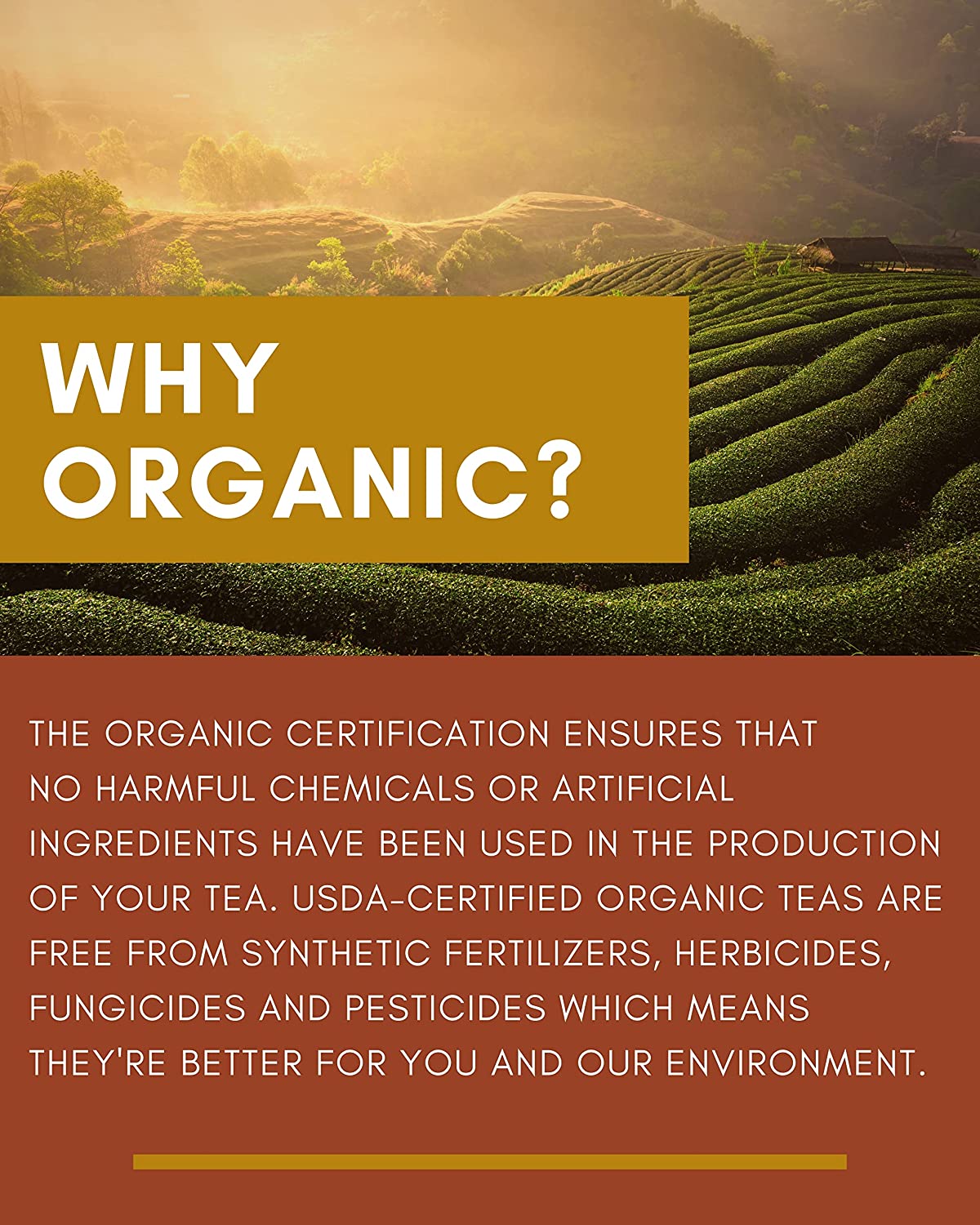 Green Rooibos Black Loose Tea, Energizing & Revitalizing Citrus Blend with Lemon Peel and Lemon Myrtle - Medium Caffeine - Organic & Kosher